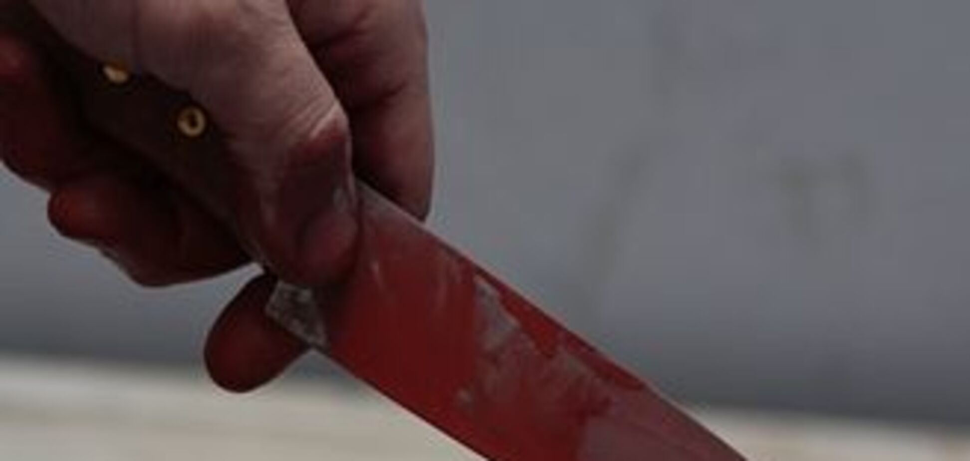 Пенсіонер зарізав двох безробітних грабіжників