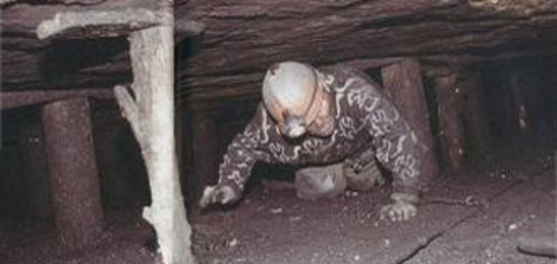 Два шахтарі загинули в нелегальній копанці