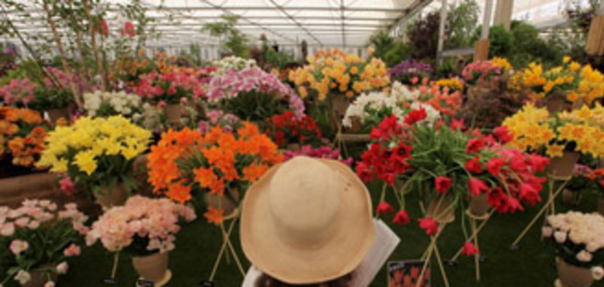 В Челси открылась знаменитая выставка цветочного дизайна