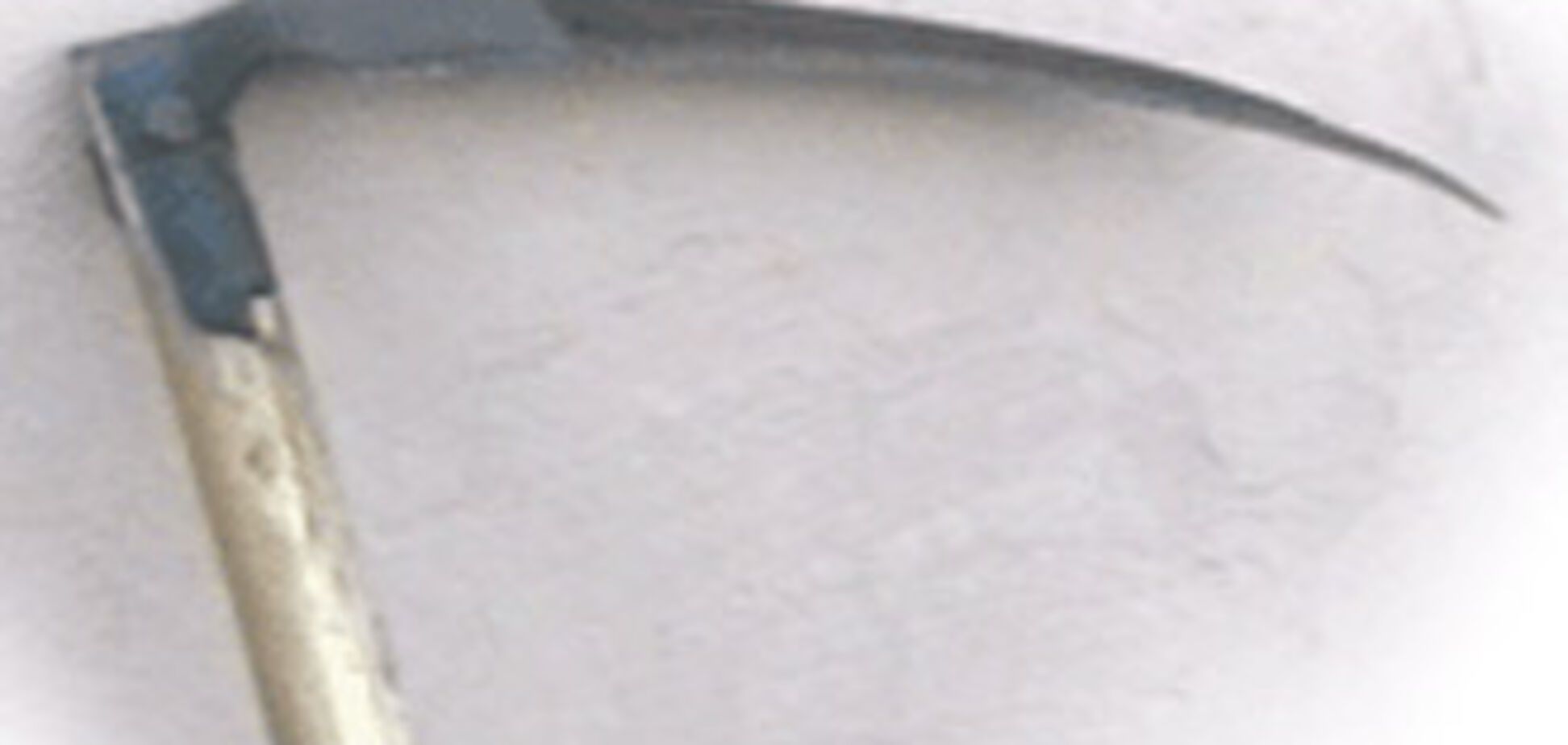 Підліток убив вітчима, захищаючи матір