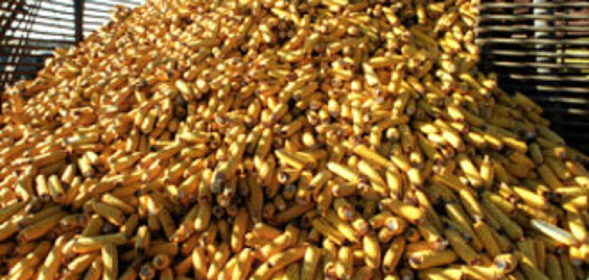 Украина требует от Германии извинений за диоксиновый скандал