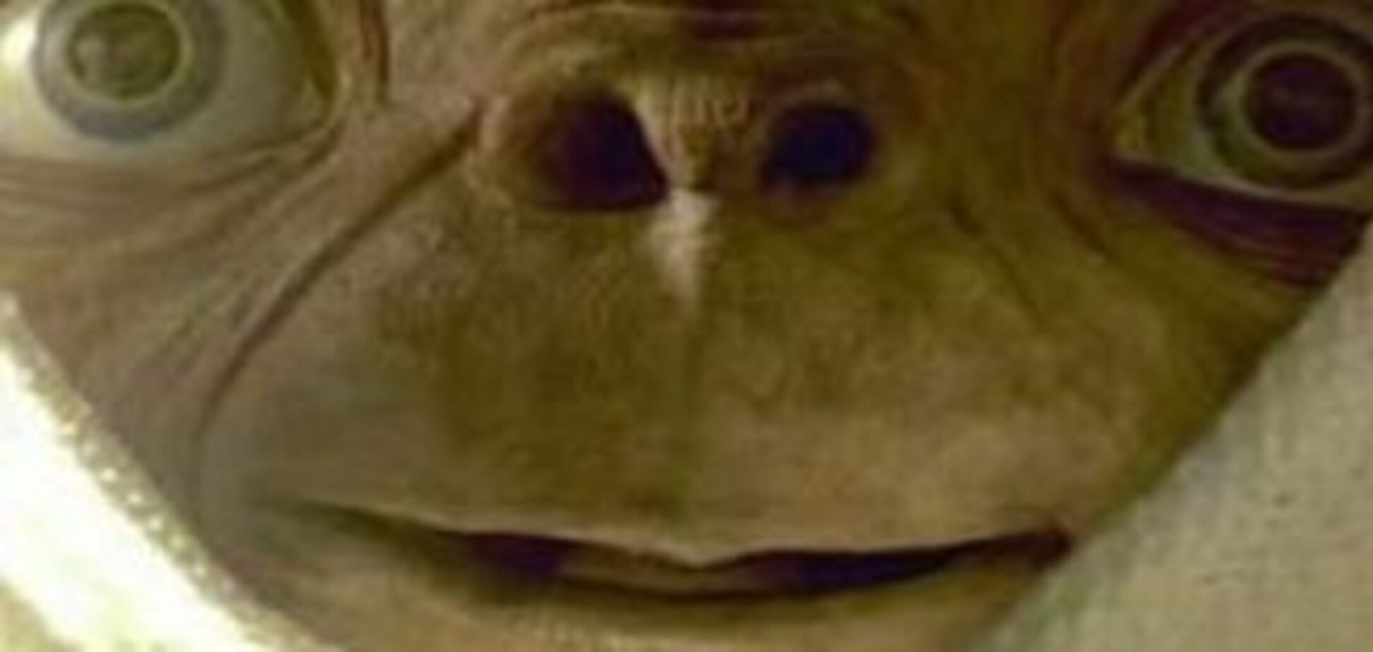 Інопланетянин напав на пілотів літака і побив поліцію