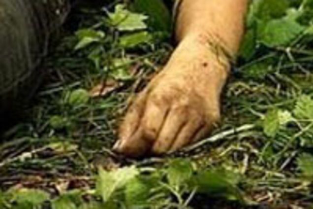 Співробітник міліції застрелив людину