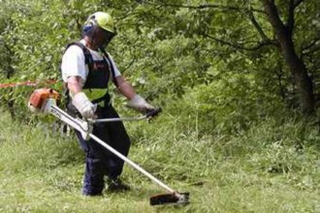 Вооруженный газонокосилкой пенсионер напал на соседа