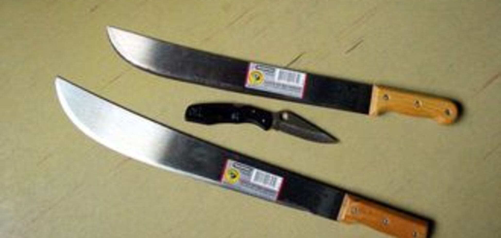 Потерявший работу порноактер убил своего коллегу