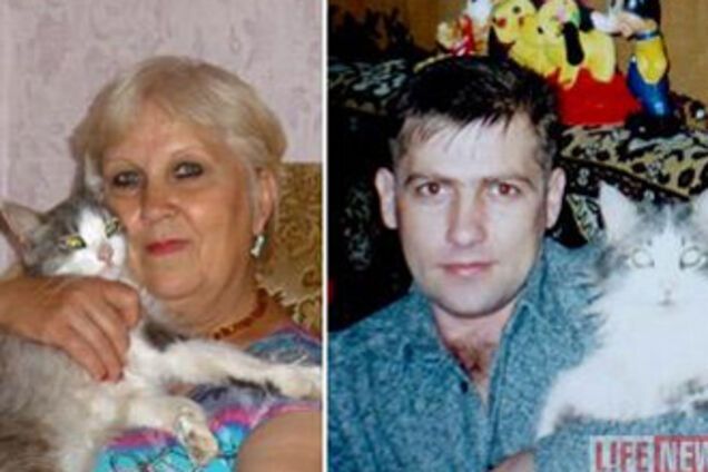 Кот прошел 3000 км в поисках уехавших хозяев