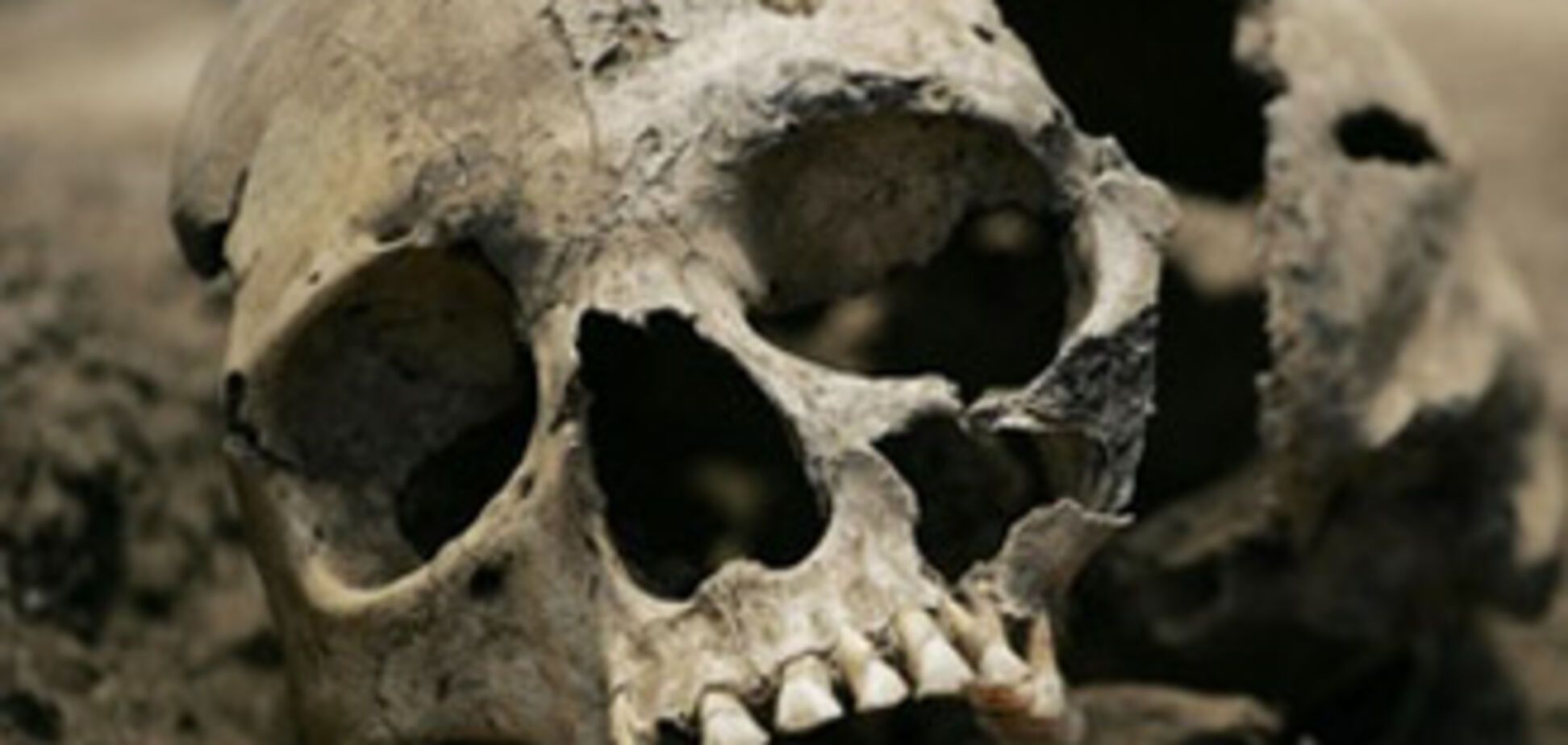 Сожители обнаружили труп только через четыре года