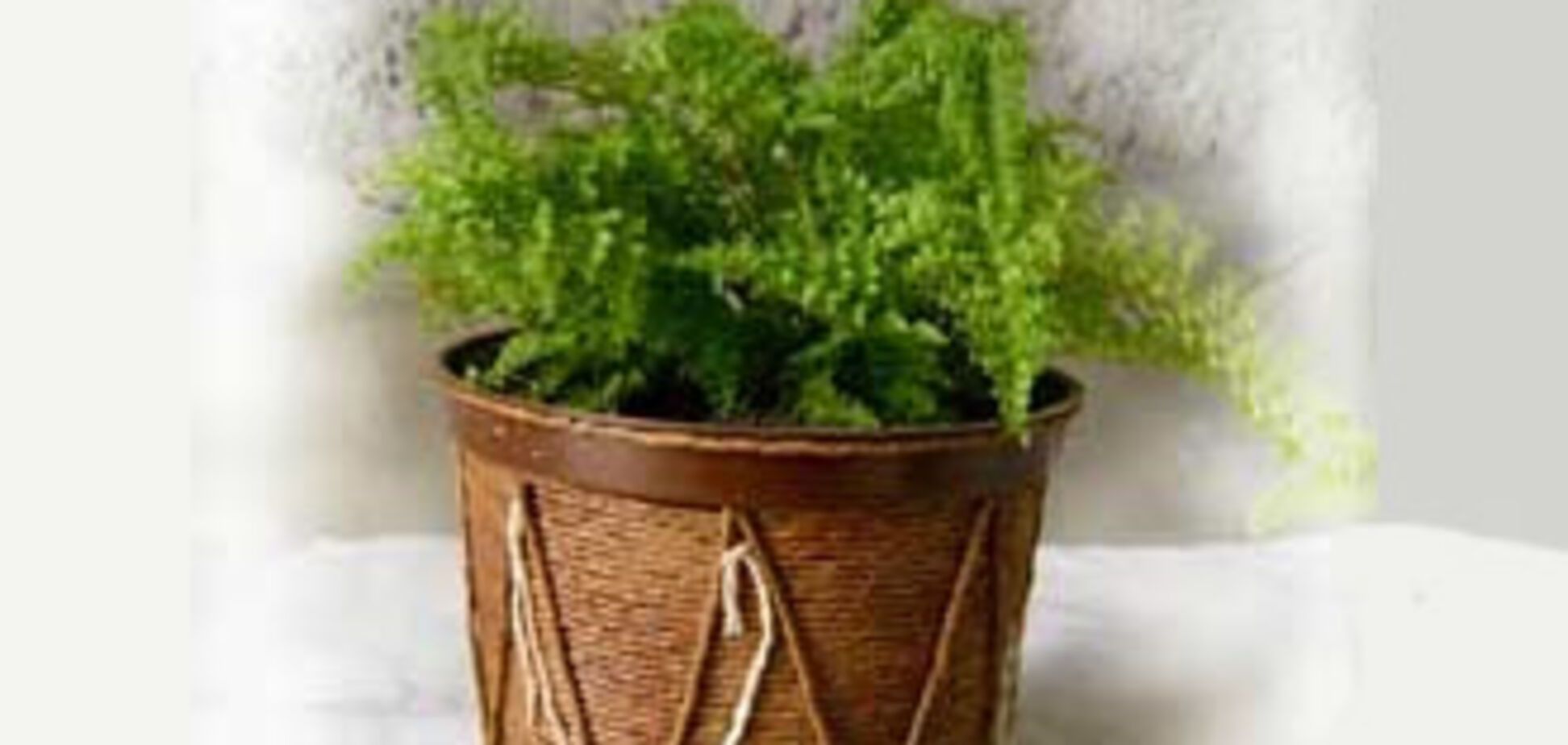 Из-за цветочного горшка убили мужчину