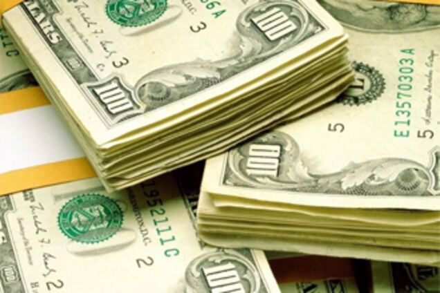 В теплице полиция обнаружила более миллиона евро