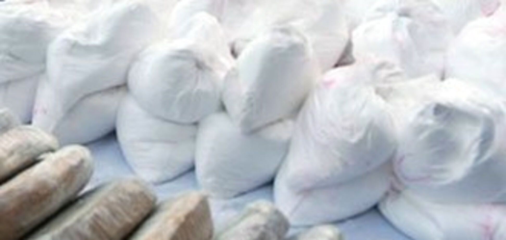 В Грузии перекрыли канал поставок кокаина