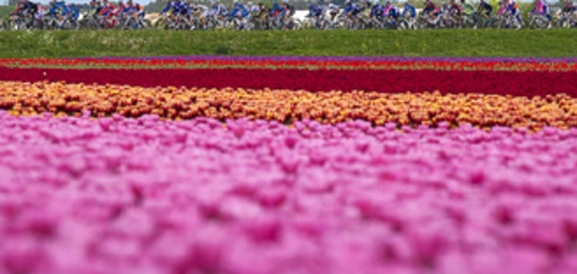 Иван Бассо победил в велогонке Giro d’Italia 2010