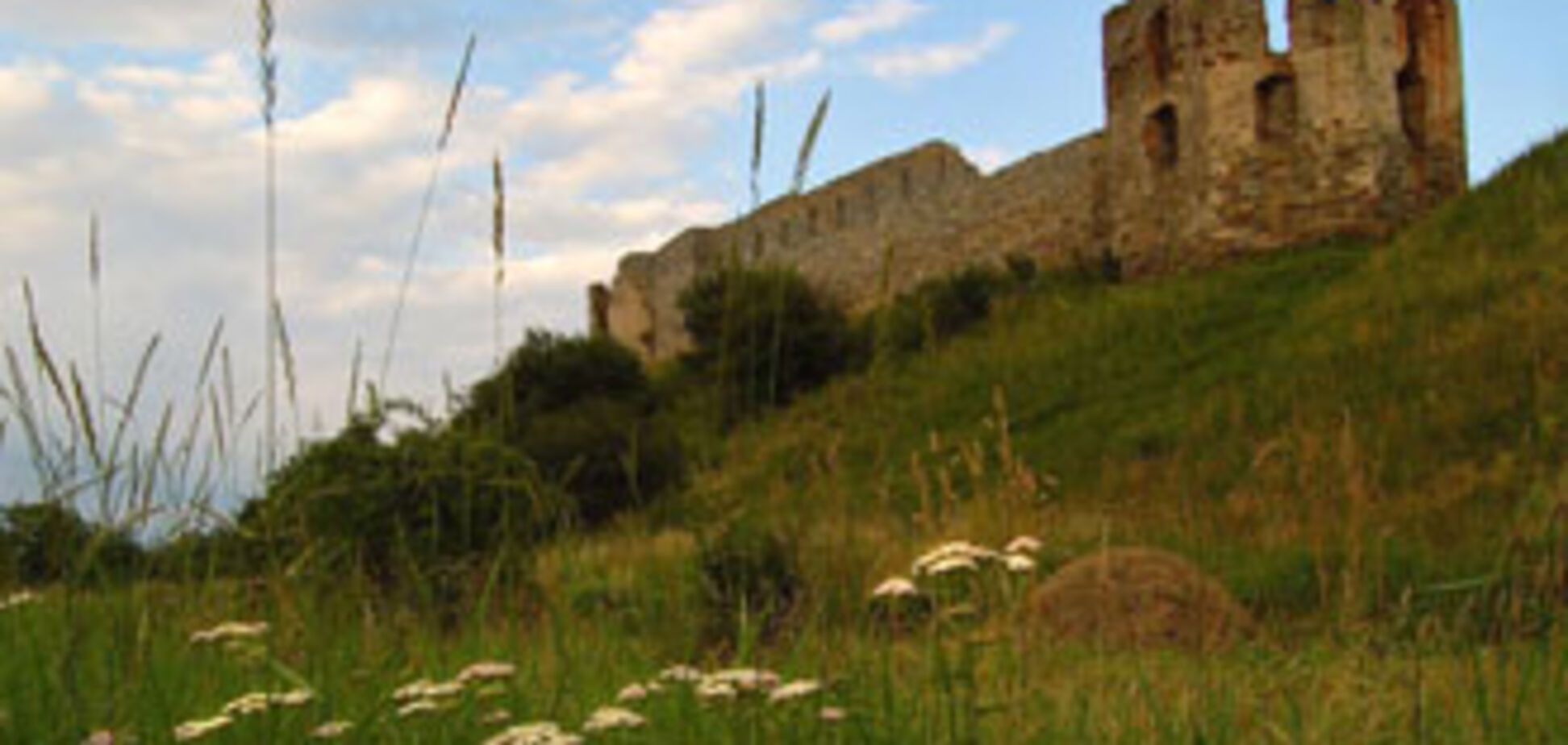 На Прикарпатье из-за дождей обвалилась башня древнего замка