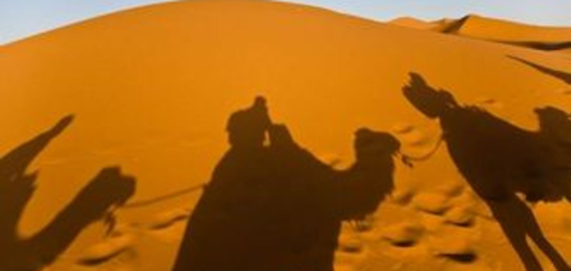 Жертвами ДТП в Сахаре стали 14 человек