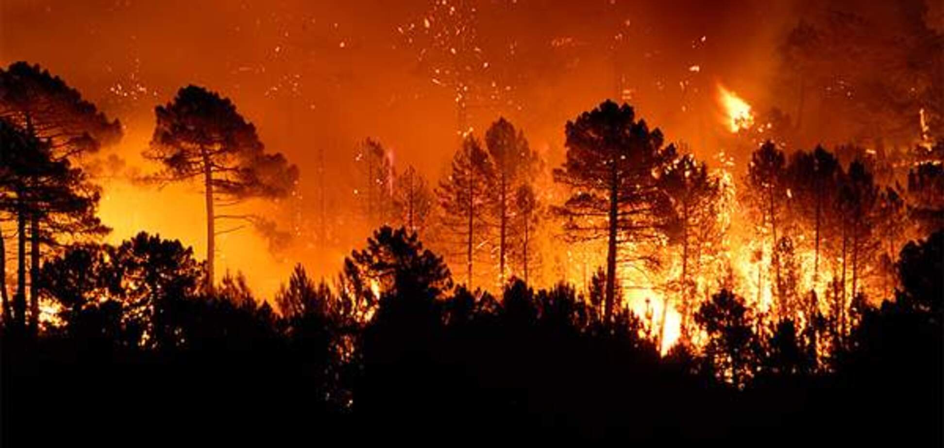 Дети сожгли лес, чтобы посмотреть на работу пожарных