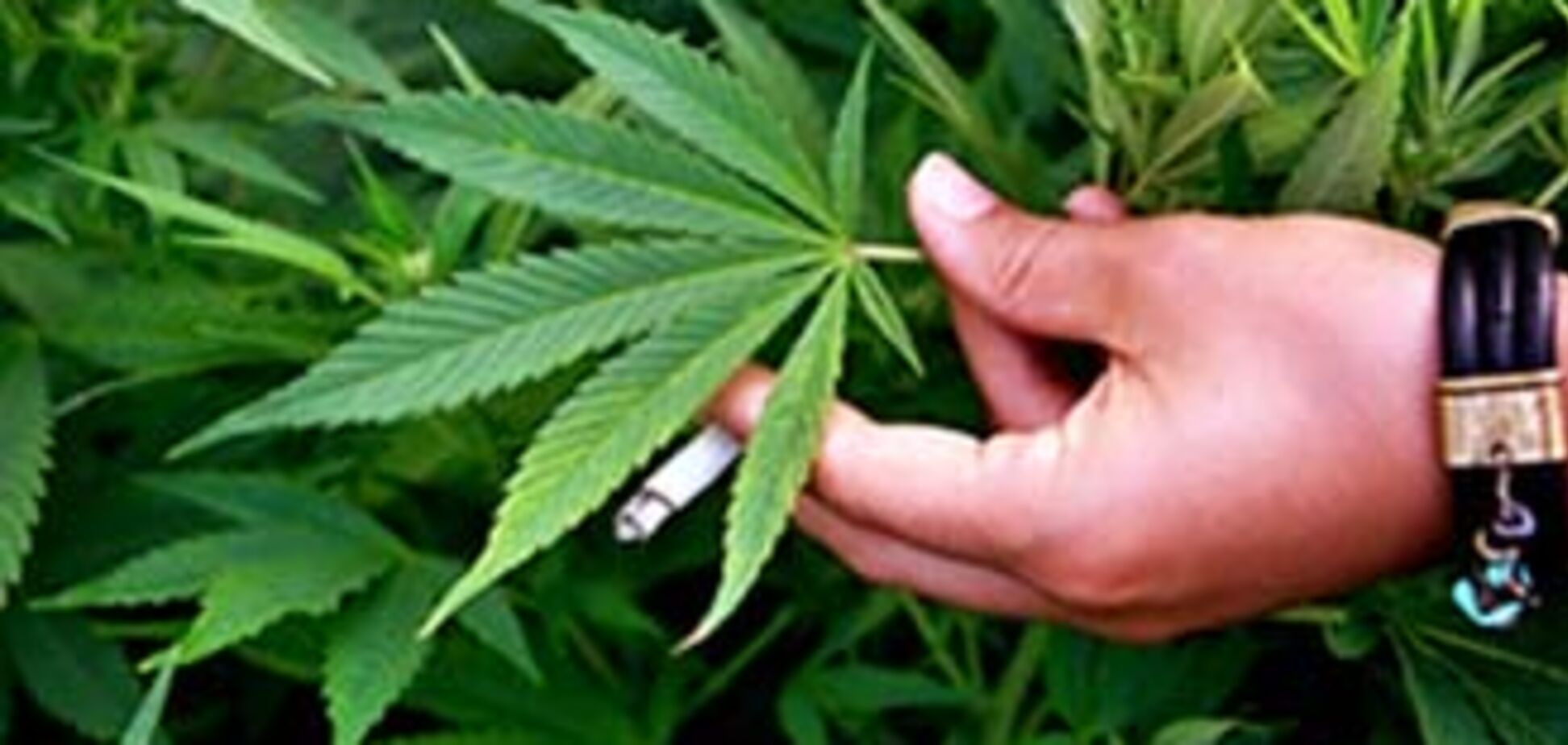 На Прикарпатті 71-річний дідусь продавав наркотики