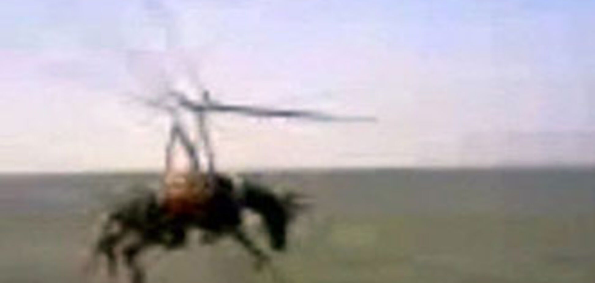 Осел-парашютист скрылся от следствия. ВИДЕО