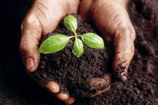 Шахраї привласнили 700 га сільгоспземель