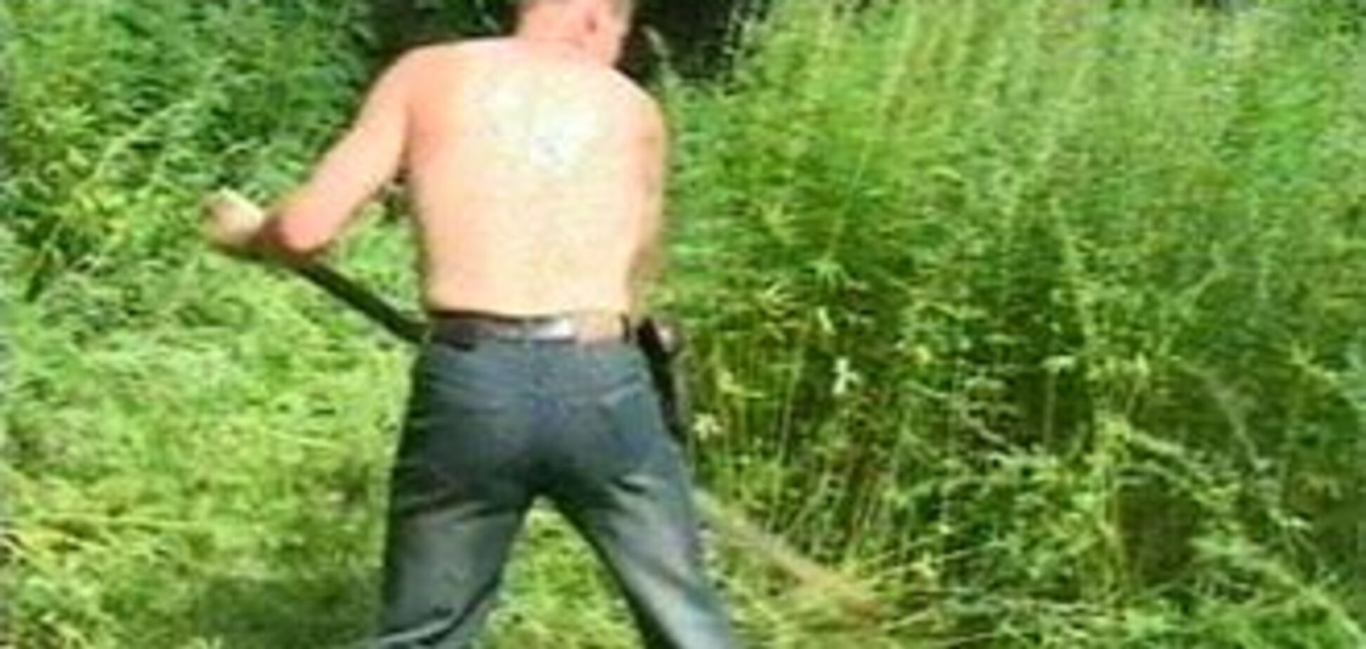 Дніпропетровська міліція полює за коноплями на вертольотах