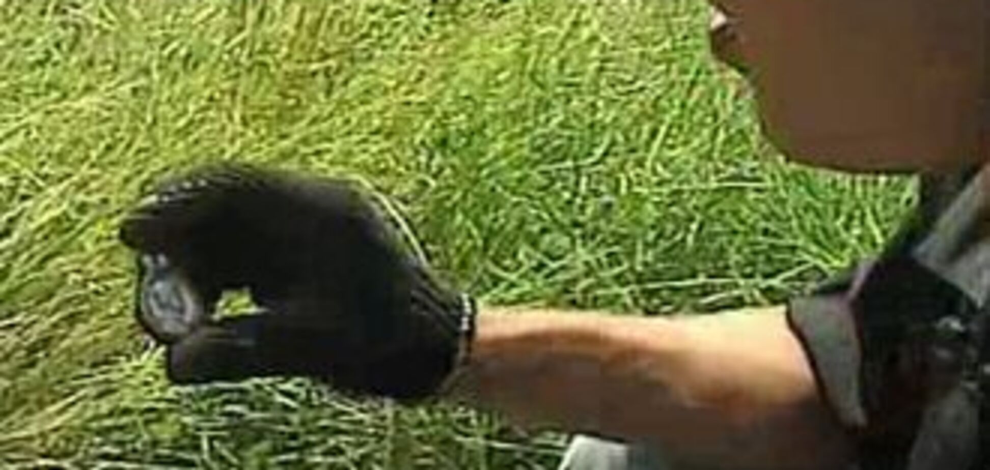 На Херсонщині спіймали 'чорного археолога'