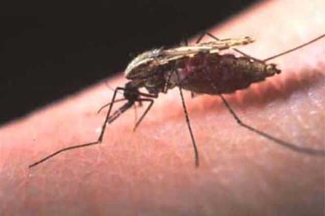 У Сумській області чоловік помер від малярії