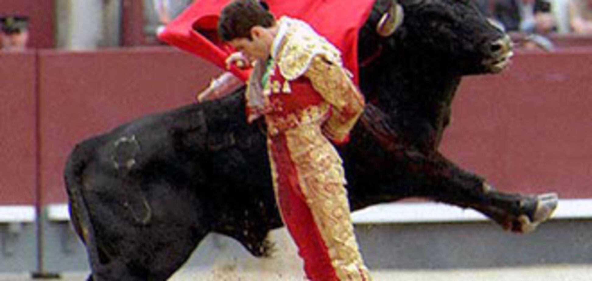 Каталонія заборонила кориду