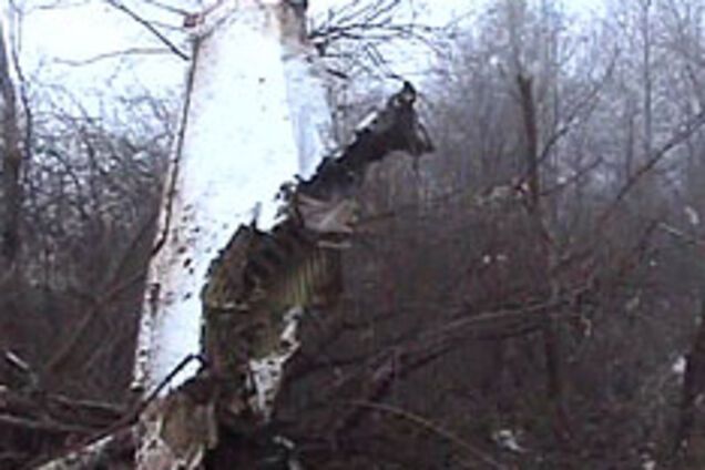 Поляки знайшли вижив у катастрофі під Смоленськом