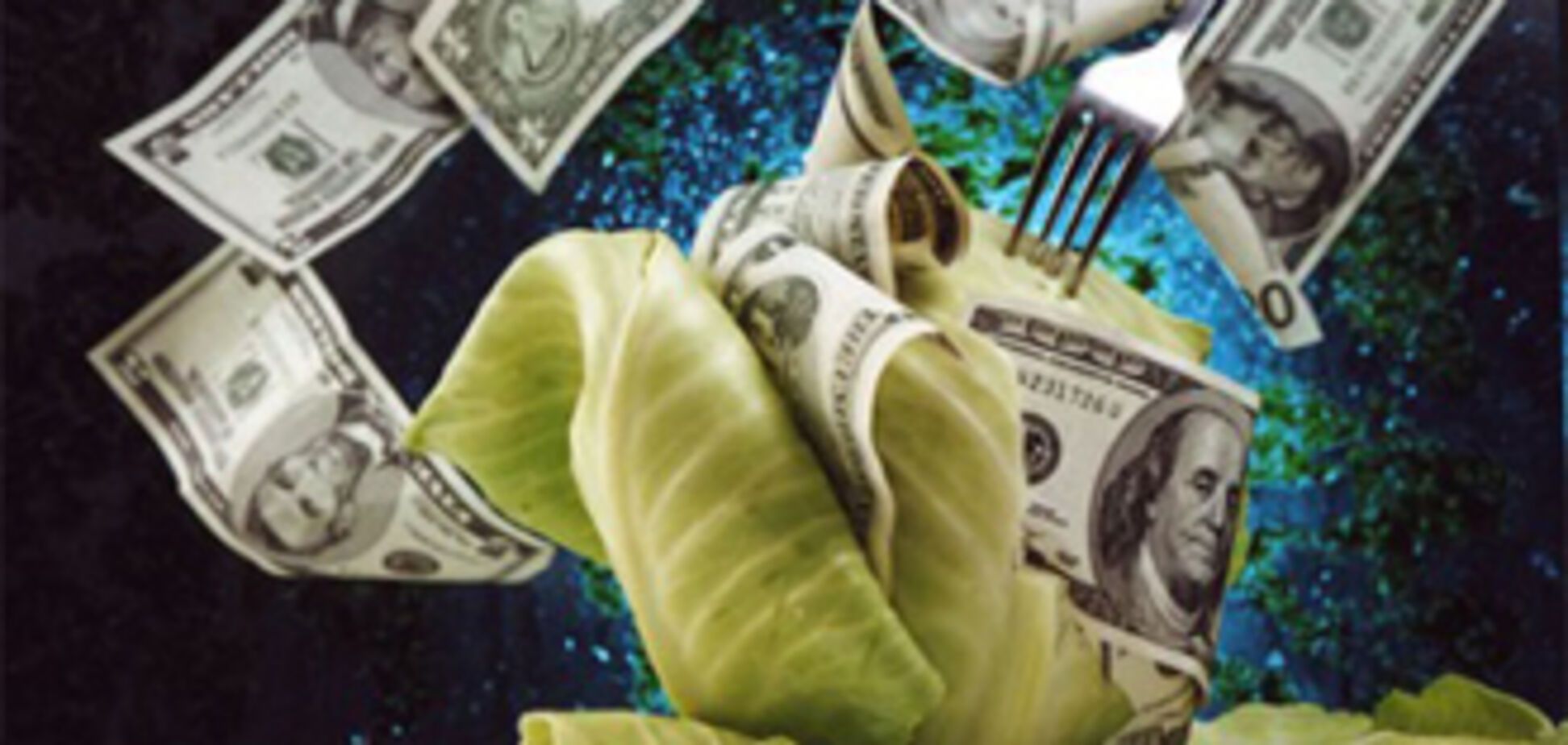 Оппозиция просит МВФ не давать Украине денег