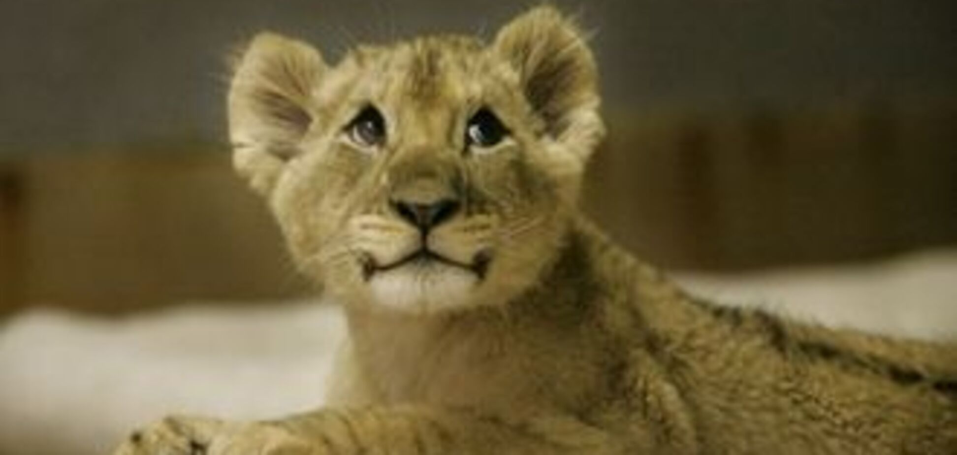 Спецназ затримав чоловіка з левеням на руках