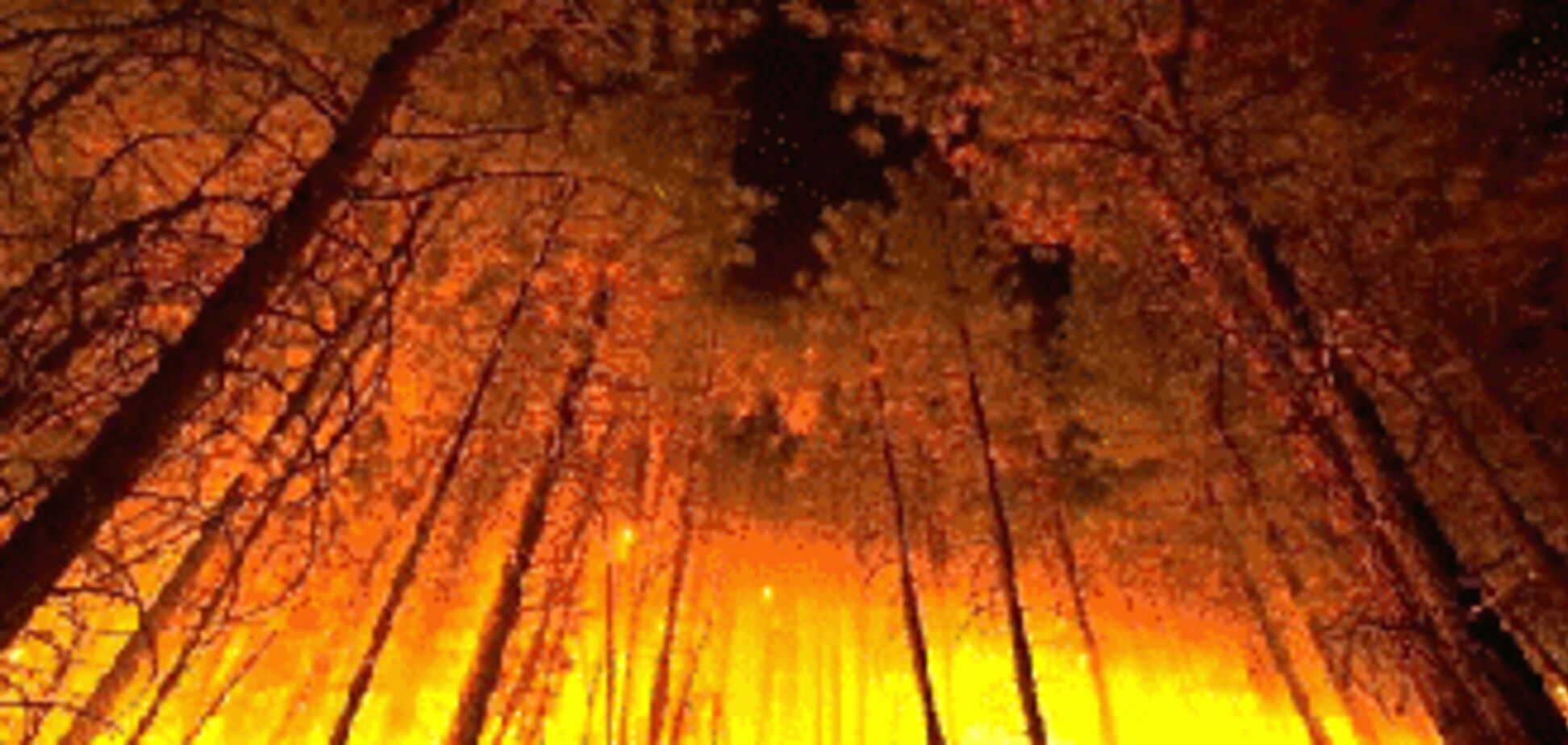 У Росії лісові пожежі знищують села