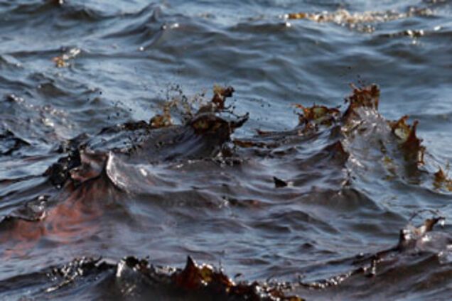 За лучший способ очистки моря от нефти обещают $1 млн