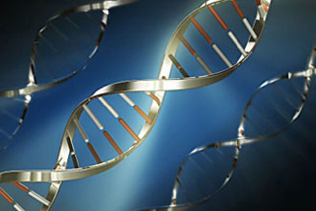 В ДНК человека найдены остатки смертельных вирусов
