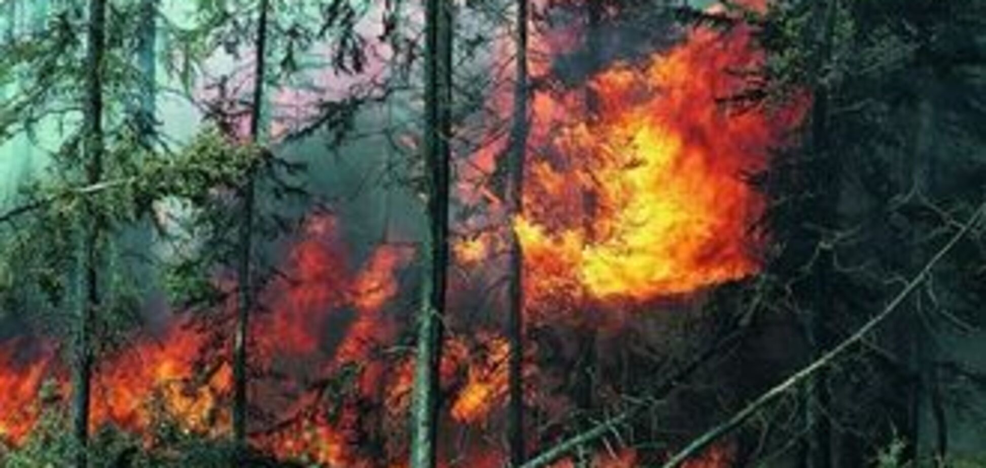 В России объявили ЧП из-за пожаров