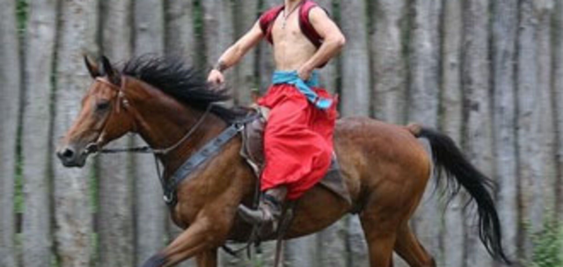 Украинских казаков загонят под одну булаву