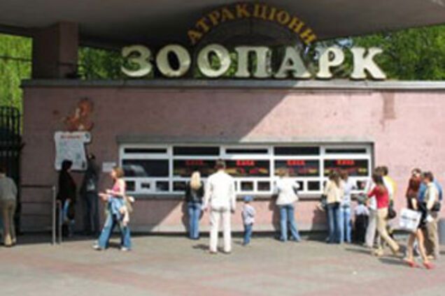 Берзина вернула себе должность директора зоопарка