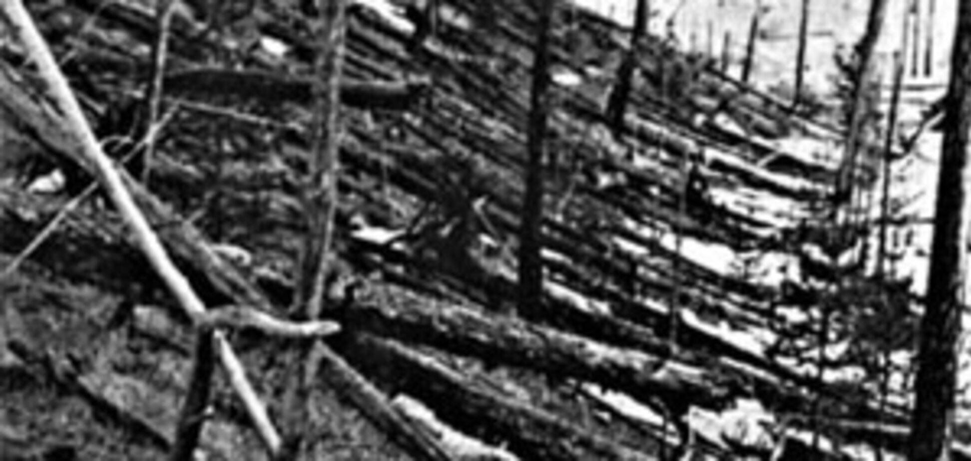 Тайна навсегда: что произошло в тунгусской тайге