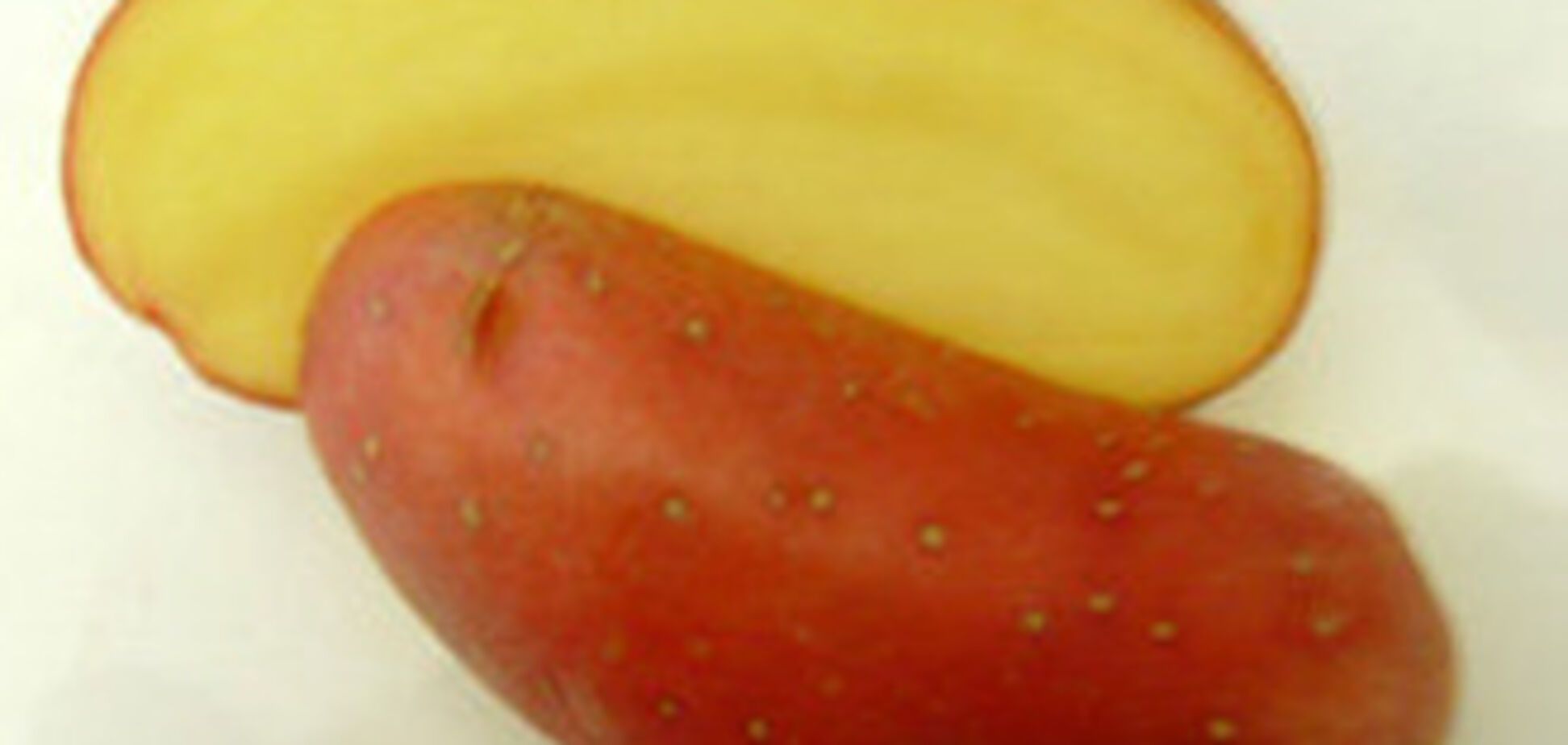 Создана батарея на основе вареного картофеля