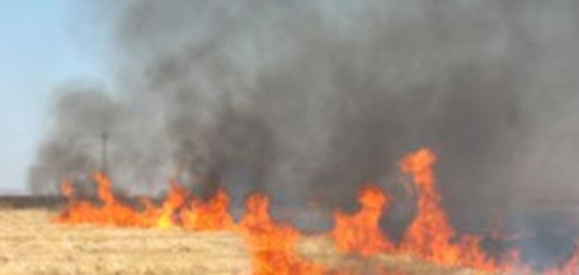 В Украине массово горят степи, огонь охватывает жилые дома