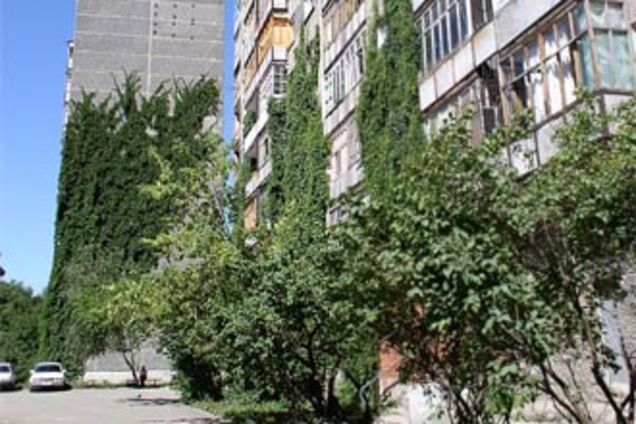 Годовалый ребенок выпал из окна через москитную сетку