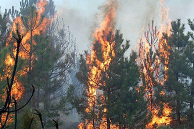 Україні не варто очікувати зниження рівня пожежної небезпеки