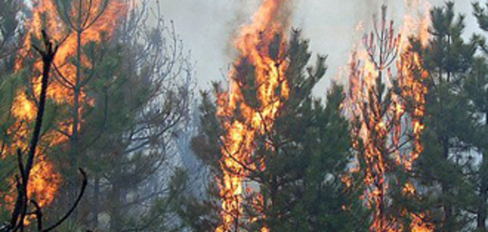 Україні не варто очікувати зниження рівня пожежної небезпеки