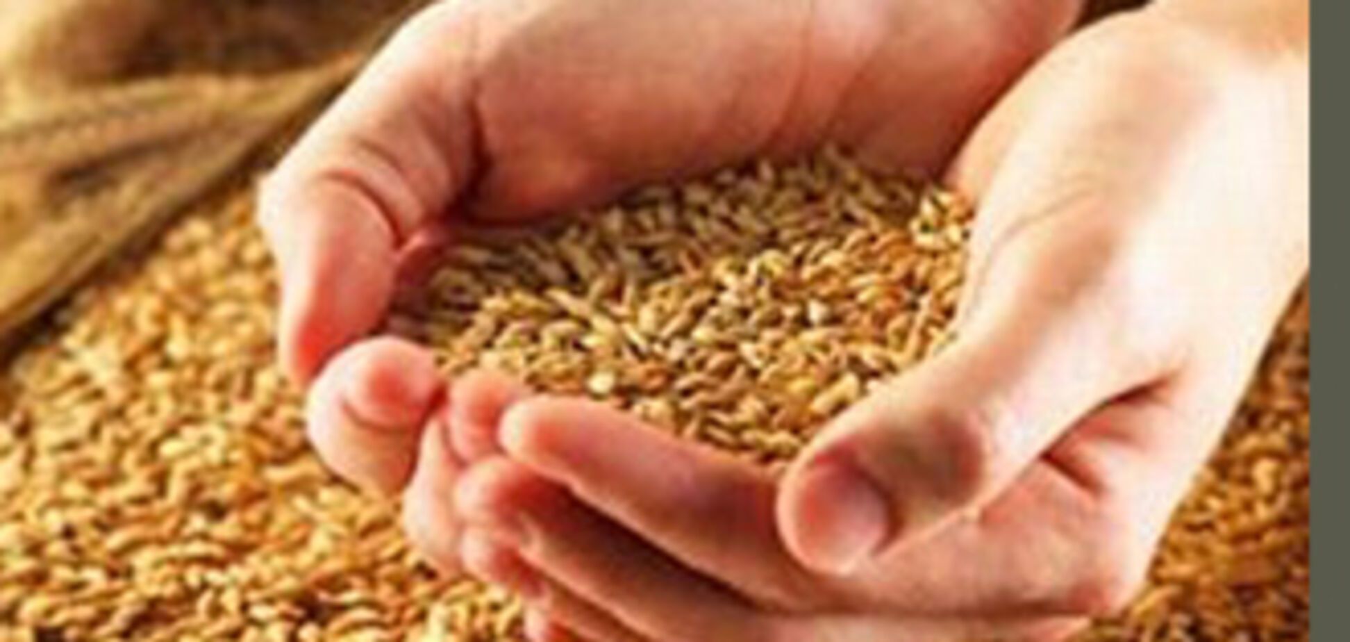 Украина вводит квоты на экспорт зерна, 17 августа 2010