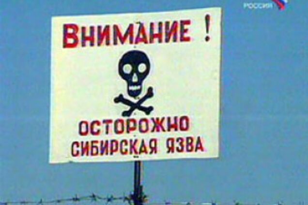 У Росії люди вмирають від сибірської виразки