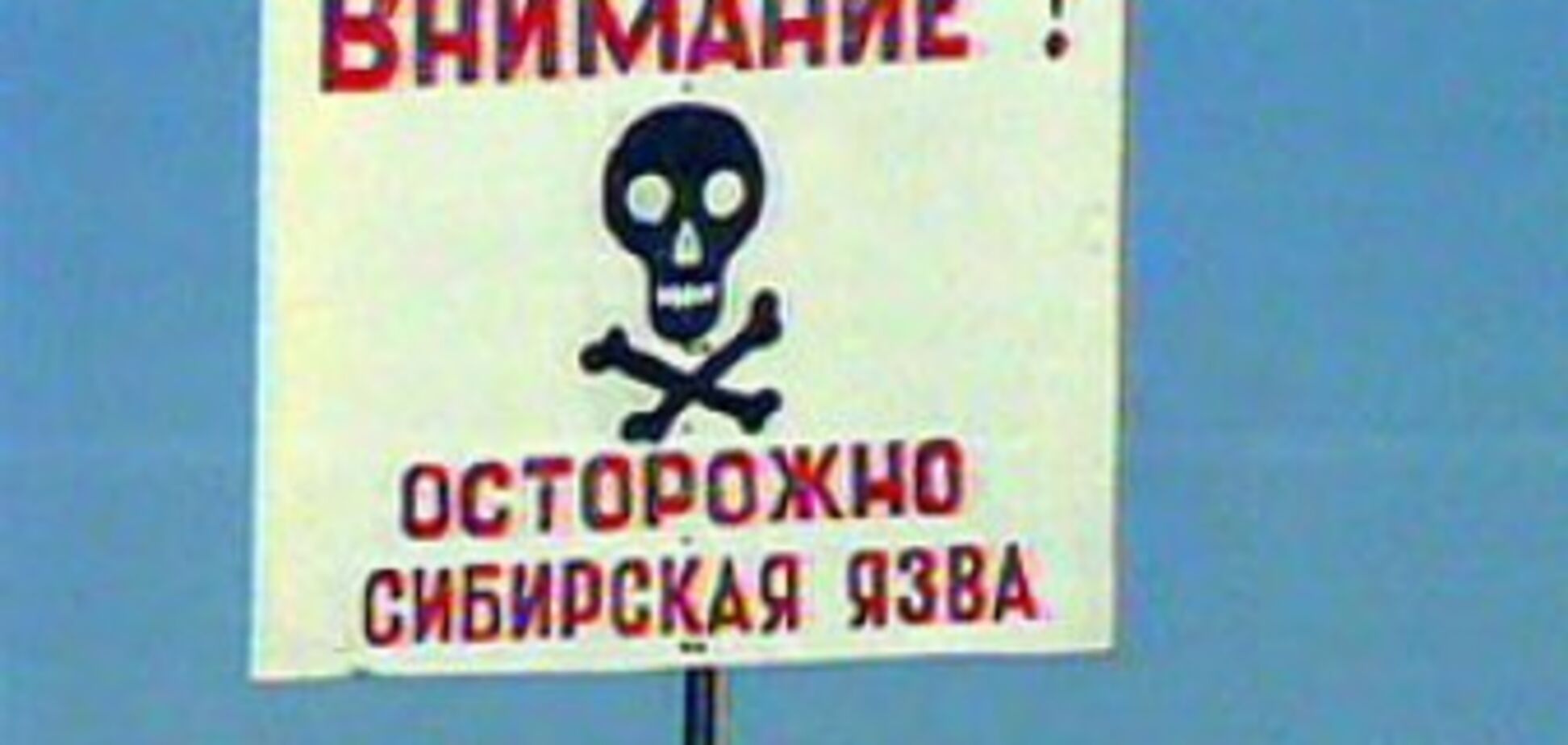 В России люди умирают от сибирской язвы