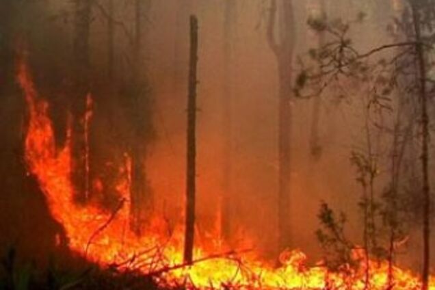 Лісові пожежі підбираються до російського ядерного центру