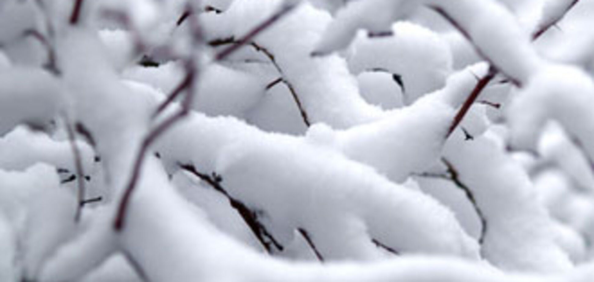 В России выпал снег