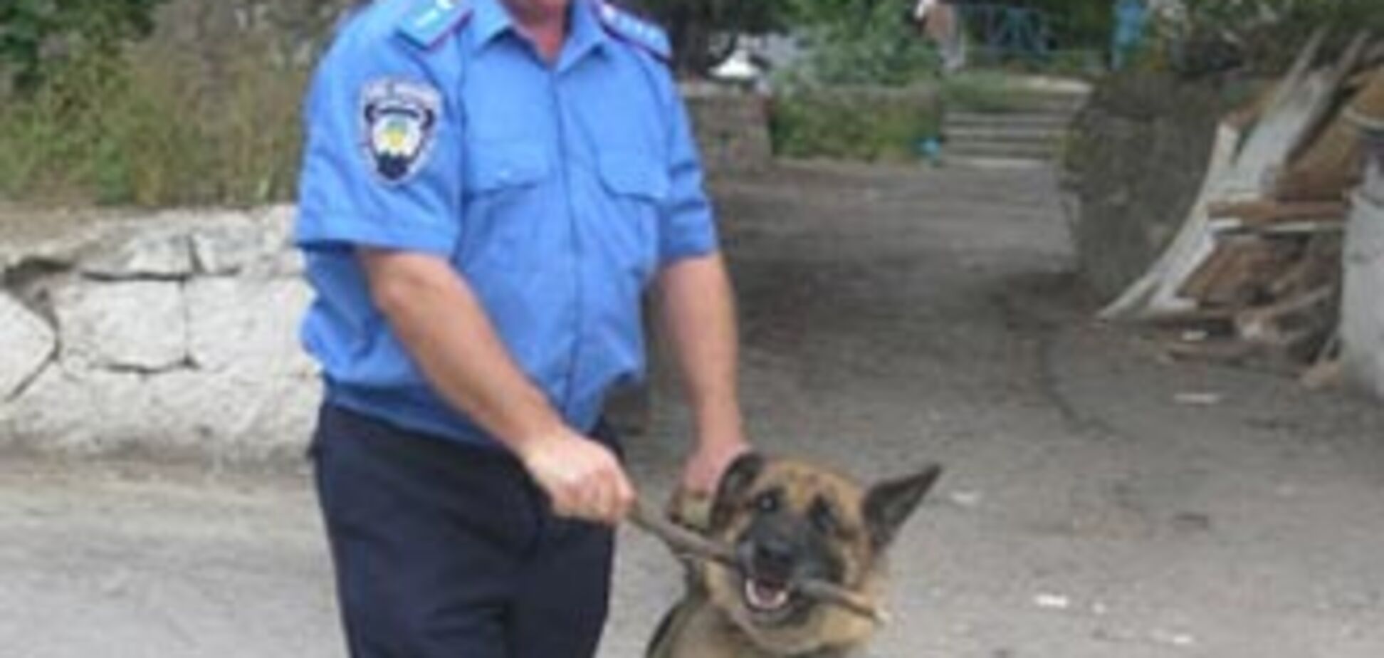 Вівчарка заробила нагрудний знак МВС 'За відзнаку в службі'