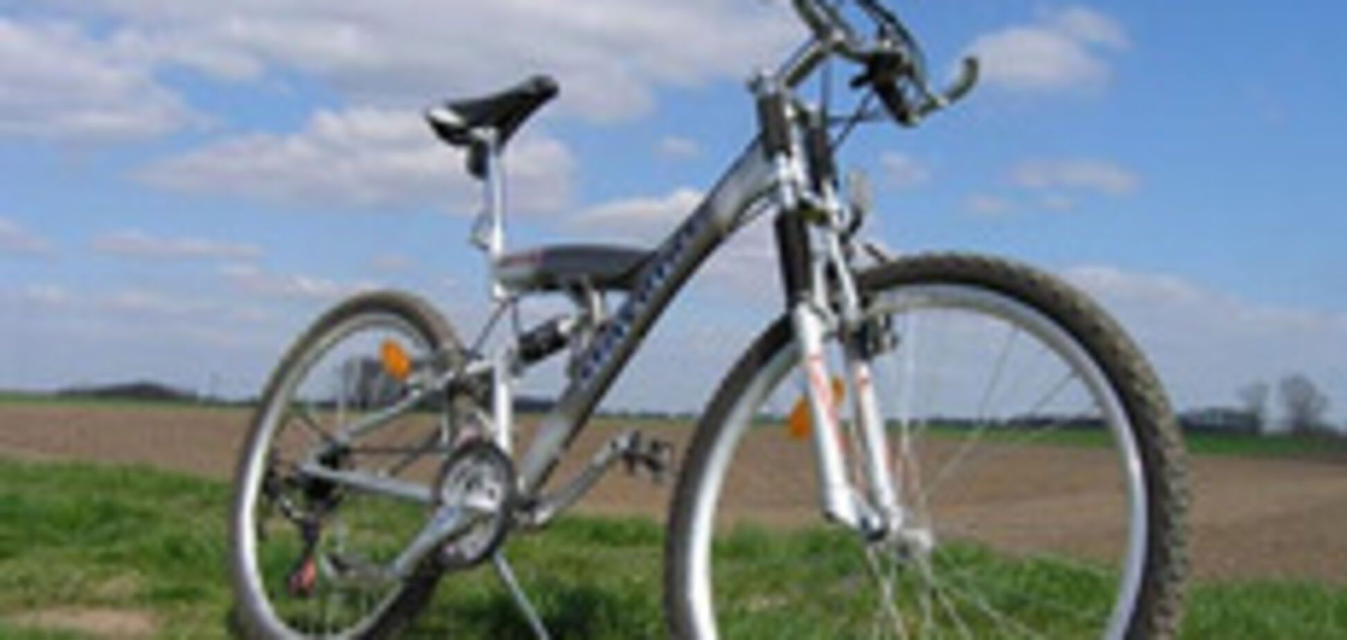 Пенсионера арестовали за угрозы в адрес велосипеда