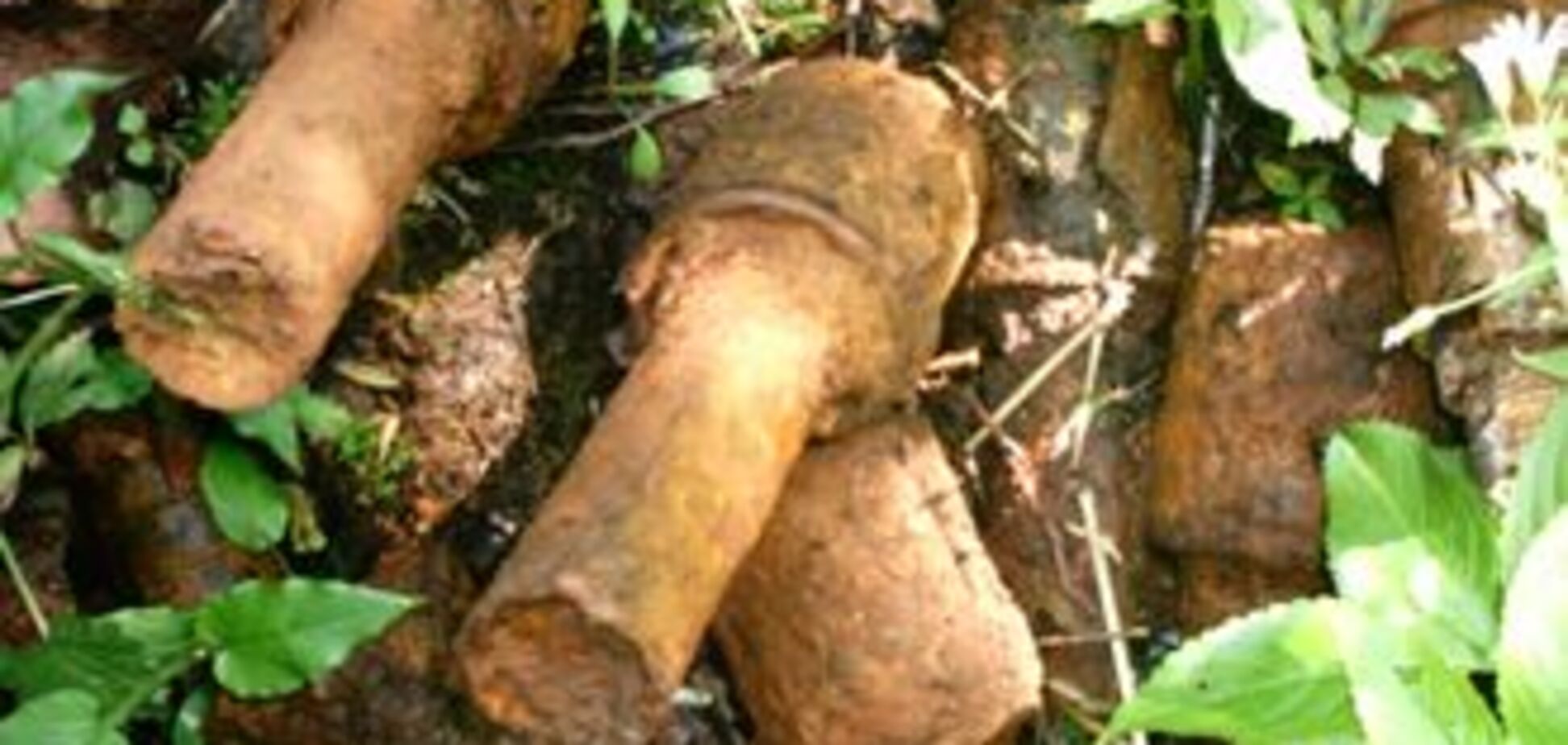 На крыше школьной столовой нашли гранату