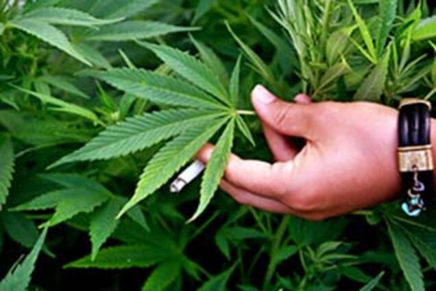 На Тернопільщині пенсіонери продавали марихуану в печерах