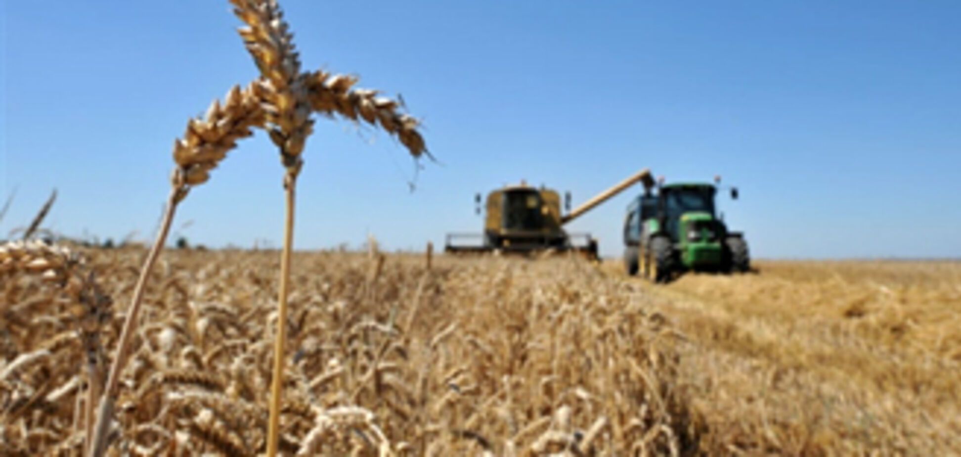 Украина напугала ООН плохим урожаем
